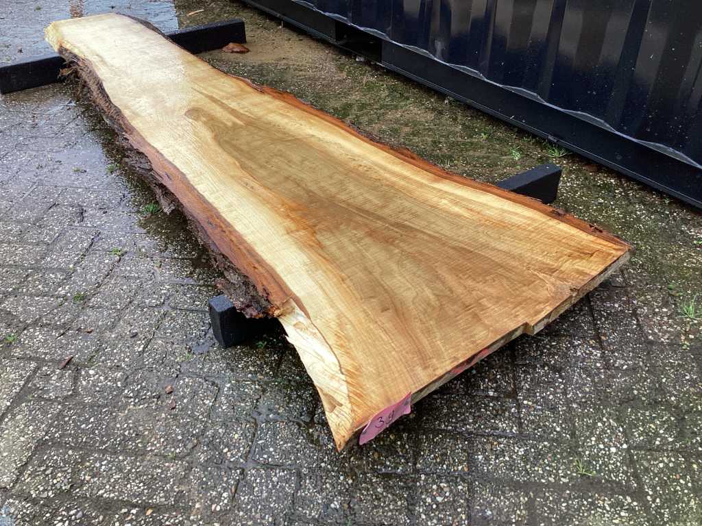 Poplar scale