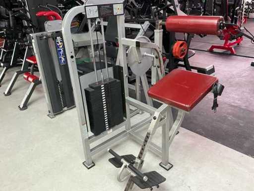 Life fitness Back Extension Krachtstation