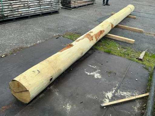 Stâlp de barză de stejar 650cm