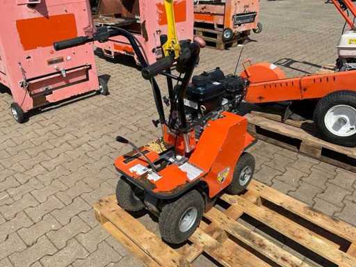 2022 Benassi Turf Cutter 300 Turf Cutter