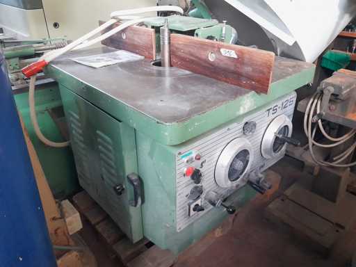 SAC TS 125 Spindle moulder