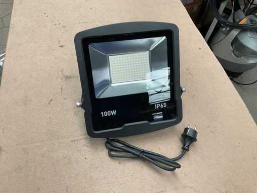 Fluxon LB100W Flutlicht