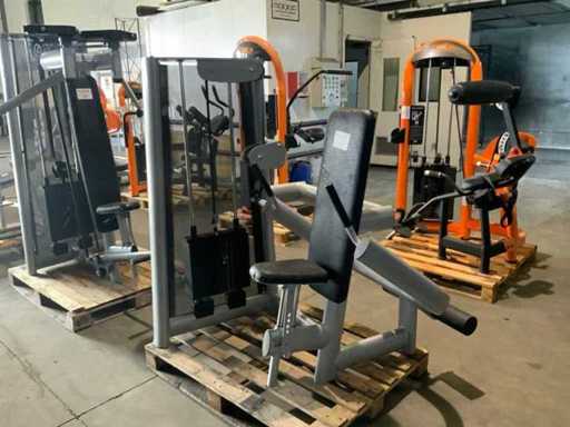 Gym80 signum dip Multi-gym