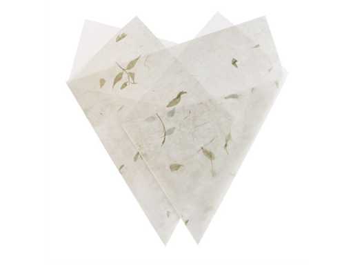 PW Leafpaper Naturale (10125x)