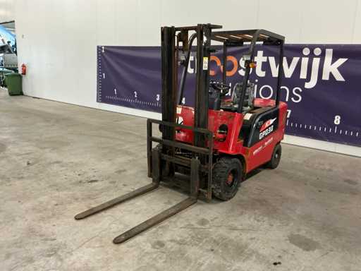Shandong Rippa GPD30 Forklift