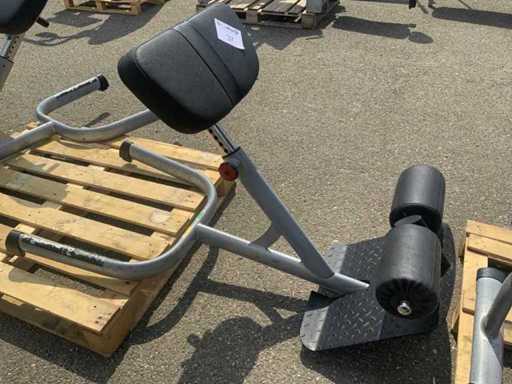 Gym80 Signum hyperextension Krachtstation