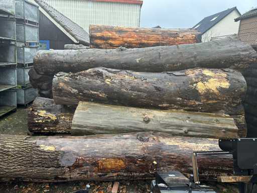 Scierie à scierie - origine néerlandaise - poutres et rondins en chêne (46x)