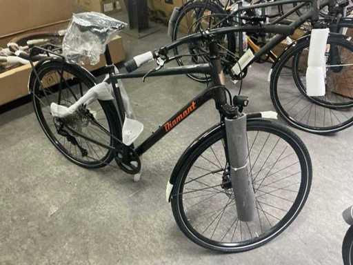 Bicicletă masculină Diamant Elan Grand Deluxe