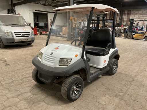 2019 Bensel cars BSV2 golfcar