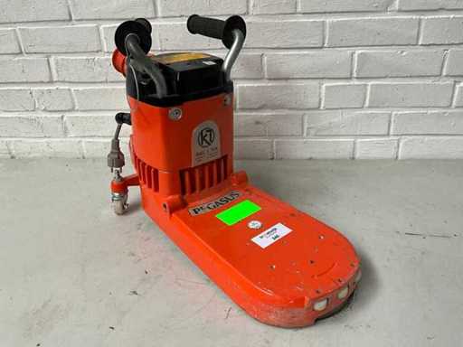 2015 Künzle & Tasin Pegasus Elektrischer Randschleifer