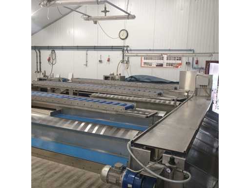 Sortownik szparagów Christiaens wed?ug grubo?ci – z podk?adk?