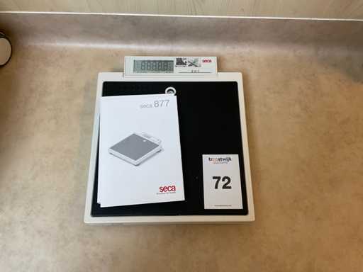 Seca 877 Scară Personală