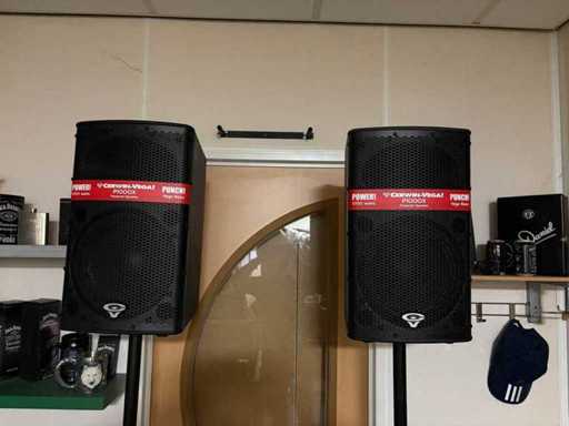 Cerwin Vega! Profesional - P1000X/P1800SX - Set de boxe