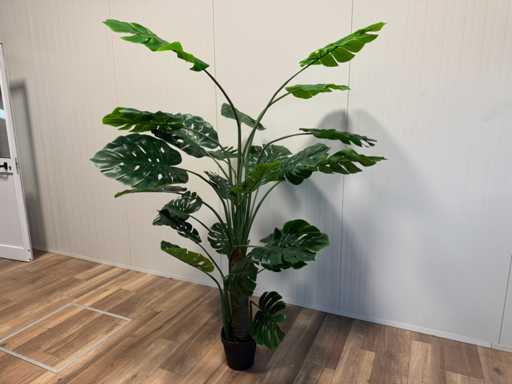 Sztuczna roślina Monstera Real touch (wysokość 215 cm)