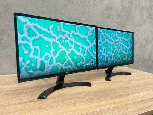 2x LG - 24" monitor - HDMI, DVI, VGA