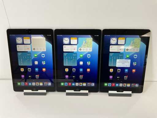 Apple iPad 7a generazione - WiFi + Cellulare - 32 GB - Grigio siderale (3x)