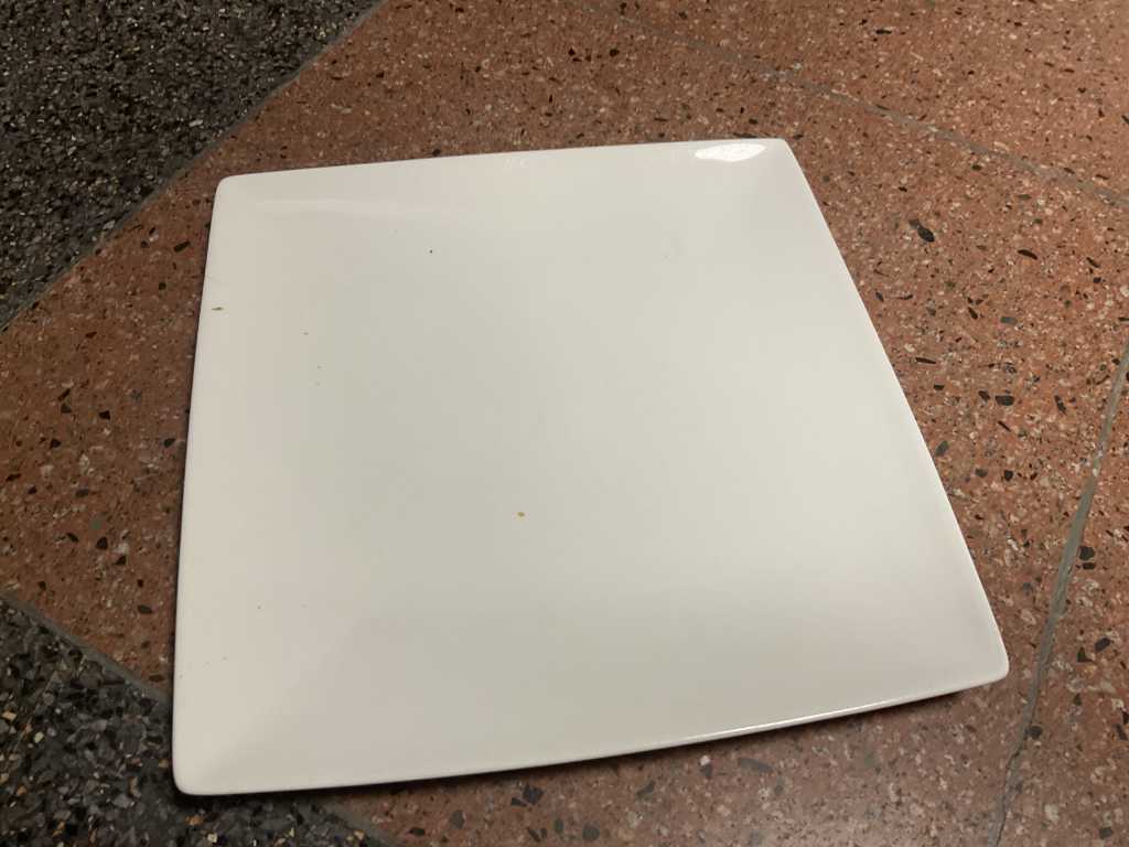 Young Large Square Plate (47x)