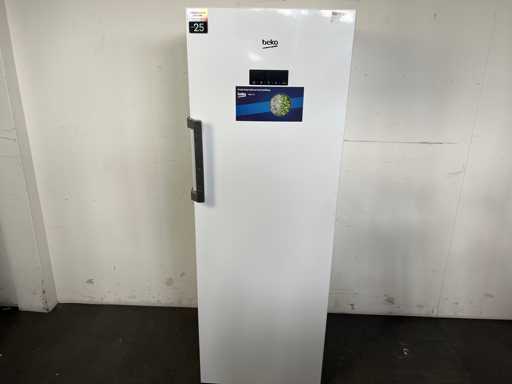 Beko FNE290E34WN