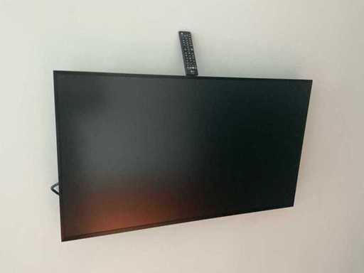 LG Poly Beamers & projectie (2 tv schermen)