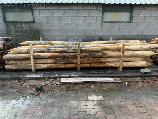 Robinia - Hardwood (22x)