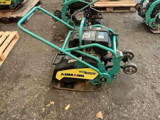 Ammann - APF 20/50 - Plaque vibrante - 2020