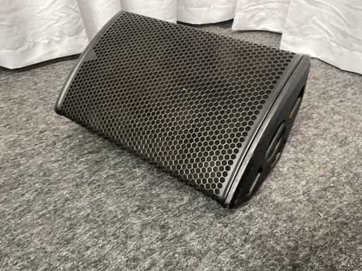 Adamson M15 Monitor (2x)