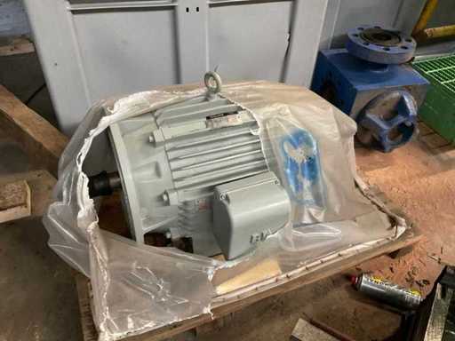 Reuland BOTO Electric Motor