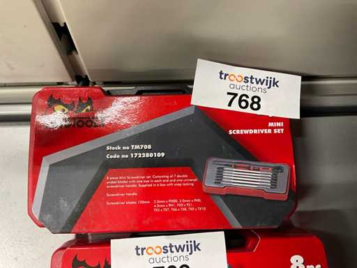 Tengtools Mini set di cacciaviti