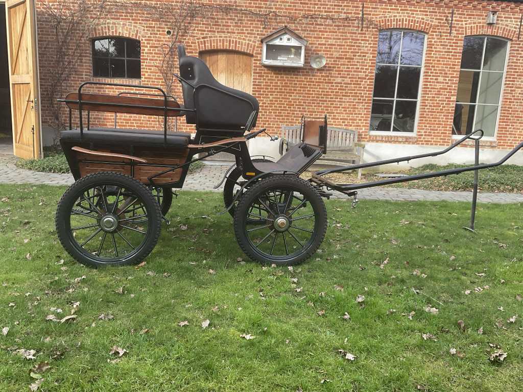 Farhsport Hansmeier Horse-Drawn Carriage