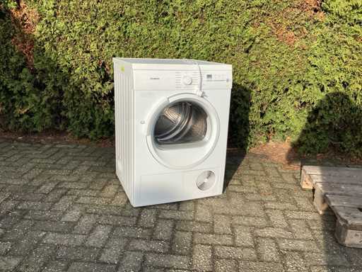 Uscător de mașini Siemens V36-30