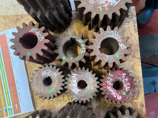 Various sizes of pinions