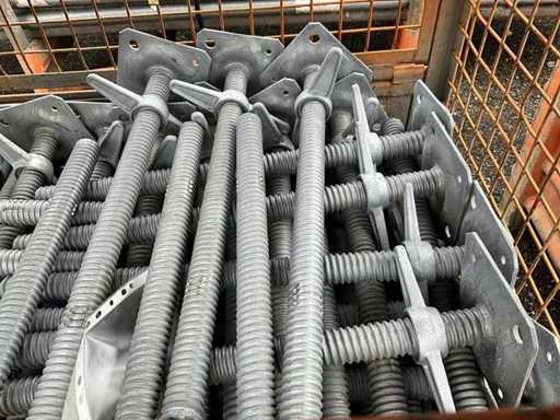 Partij Steiger voetspindel (100x)