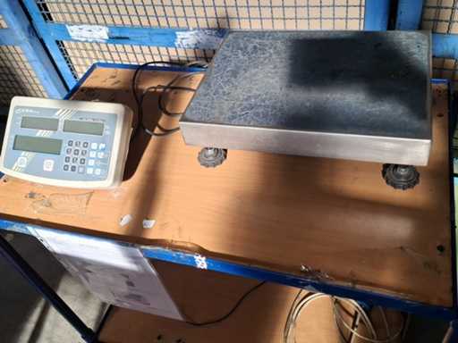 KERN - IFS 60 K - Digital Scale - 2022