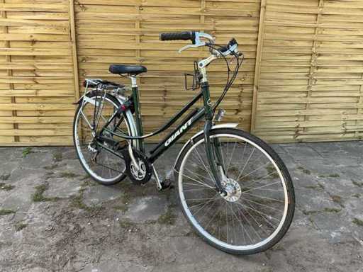 Bicicletă masculină Giant Freerider