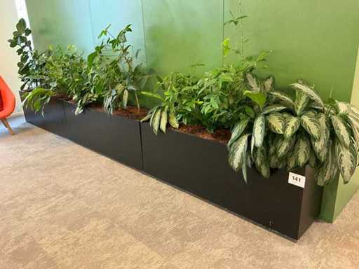 Planter with plants (3x)