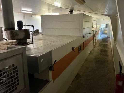 Polin Conveyor Furnace