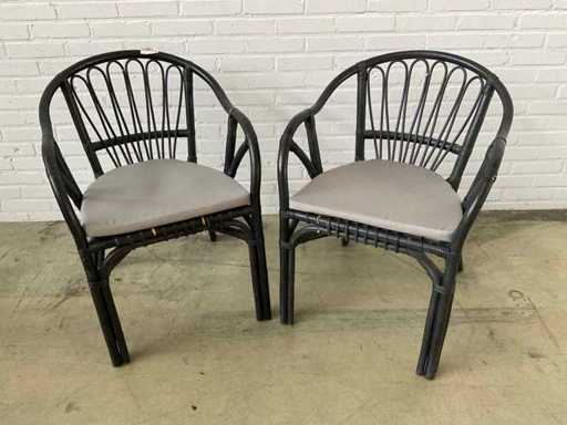 Alexandra Președinte al Camerei (de două ori)