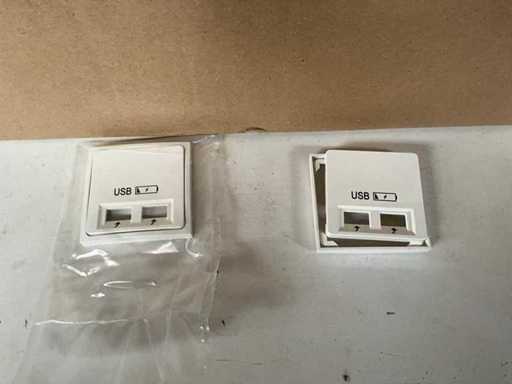 Peha Afdekplaat 2x USB (95x)