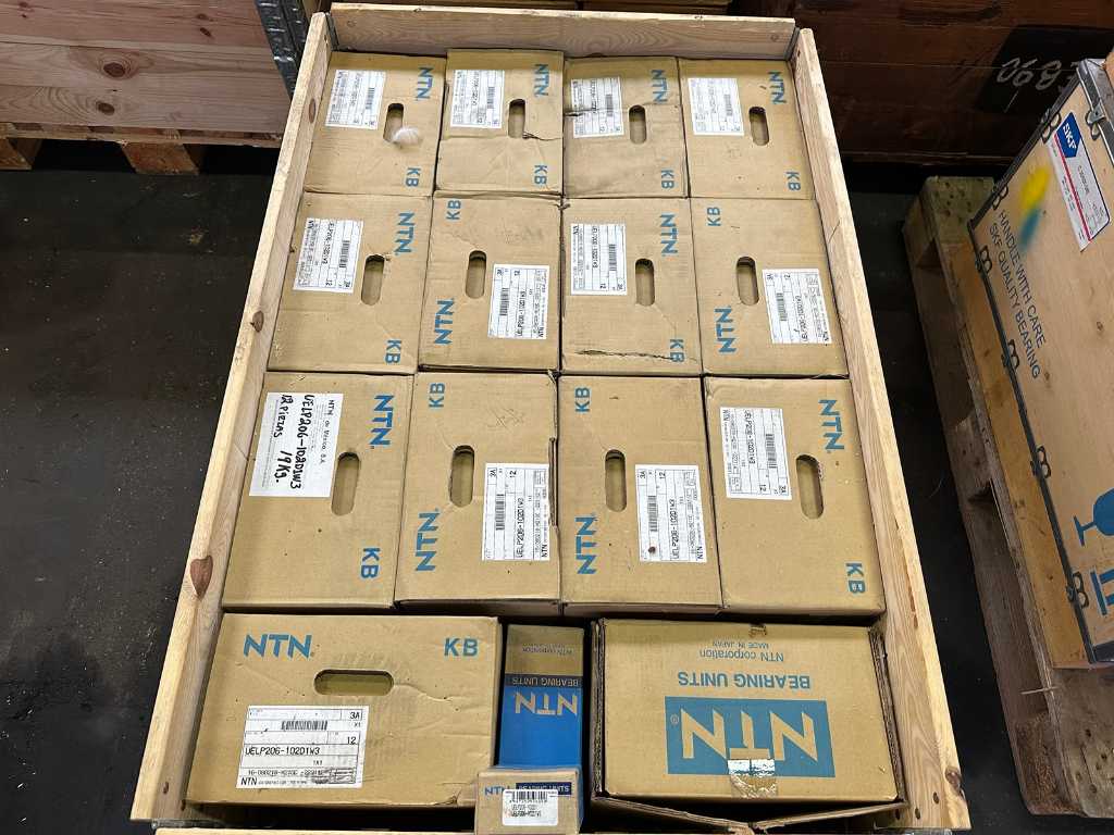 Cuscinetti da 271 kg (netti) di NTN (B1537)
