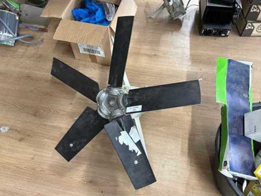 Fan
