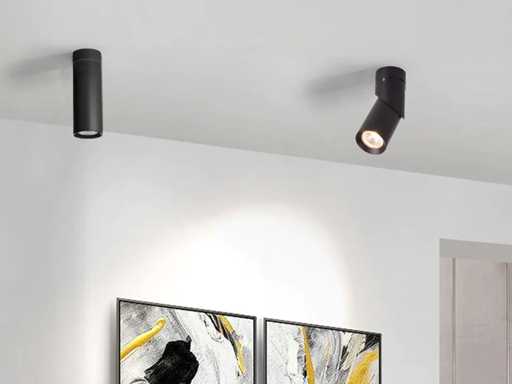  GU10 Surface-mounted spot Fixture rotatable (12x)