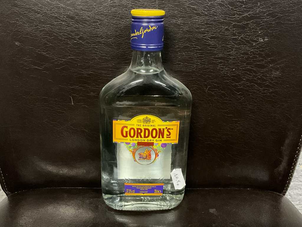 Gordon’s London Dry Gin (10x)