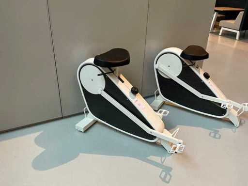 Bicicletă de birou Striking