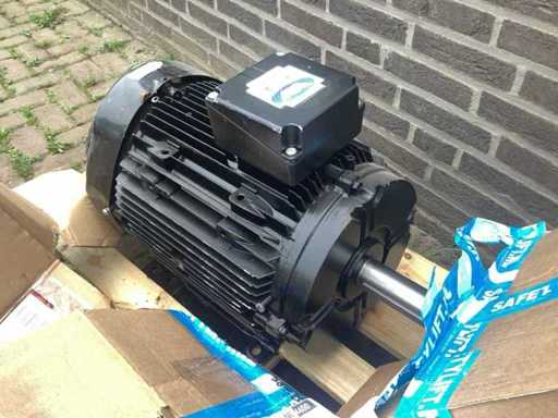 Silnik elektryczny Brook Crompton WP-DA160LY4