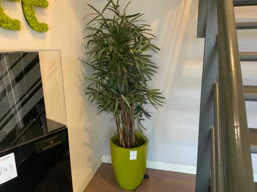 Plante artificielle