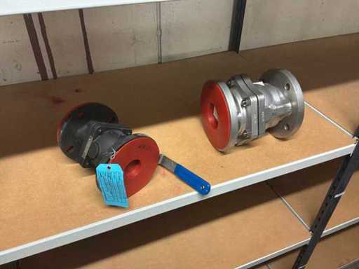 KTM - EF190 - Vanne à boisseau sphérique bridée (2x)
