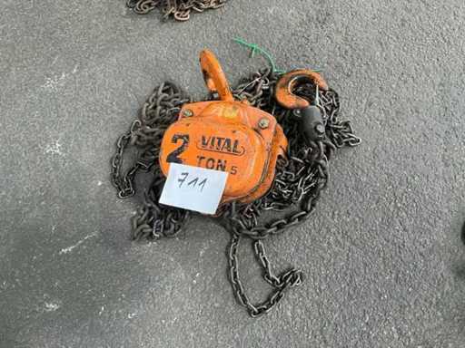 Vital 2 Ton Chain Hoist