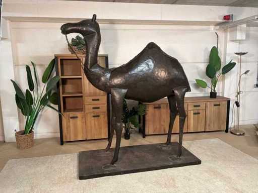 Dromedario Metallico