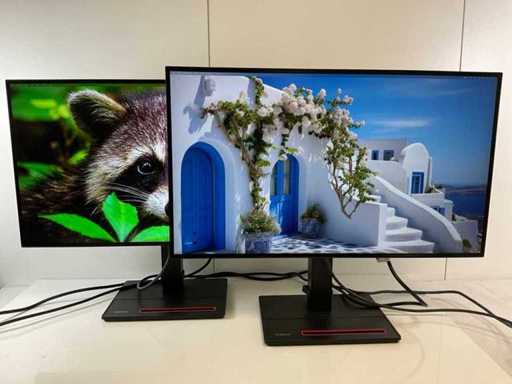 Lenovo (P27h-20) 27", 2560x1440 (QHD) Moniteurs IPS (2x)