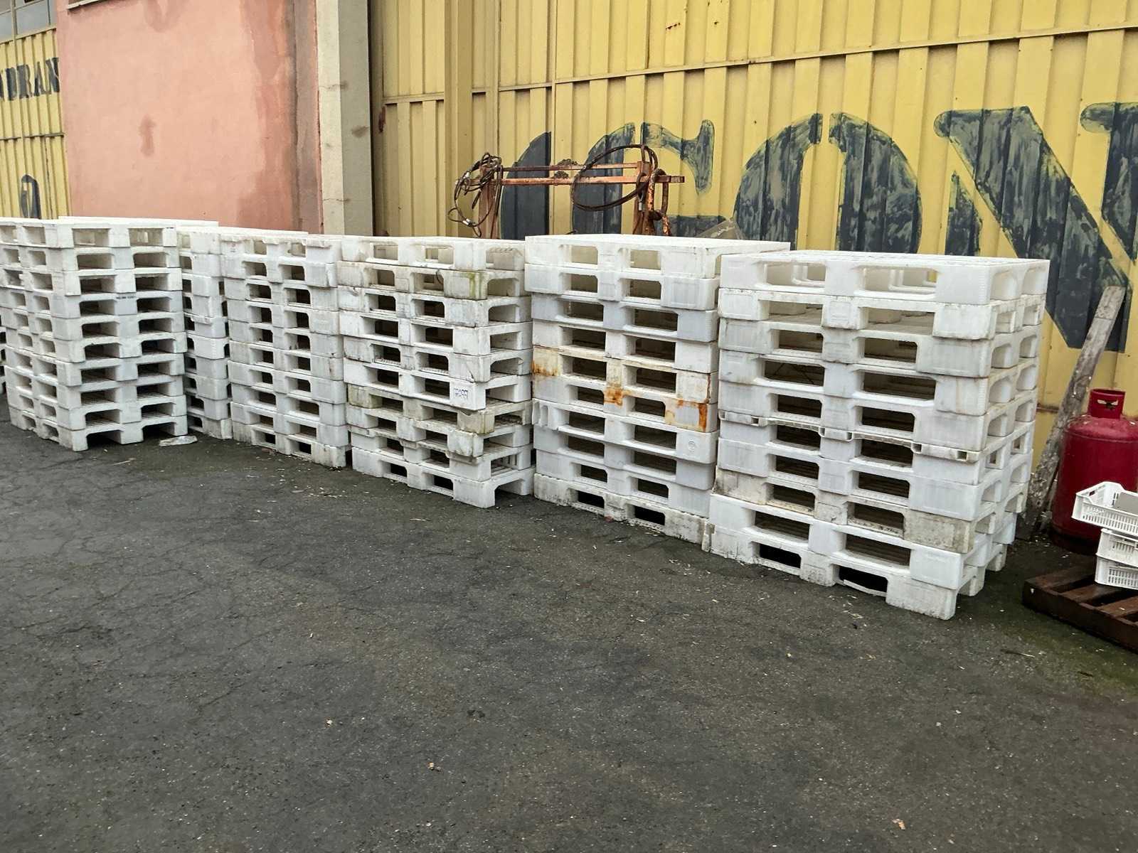 Plastic pallets (30x)